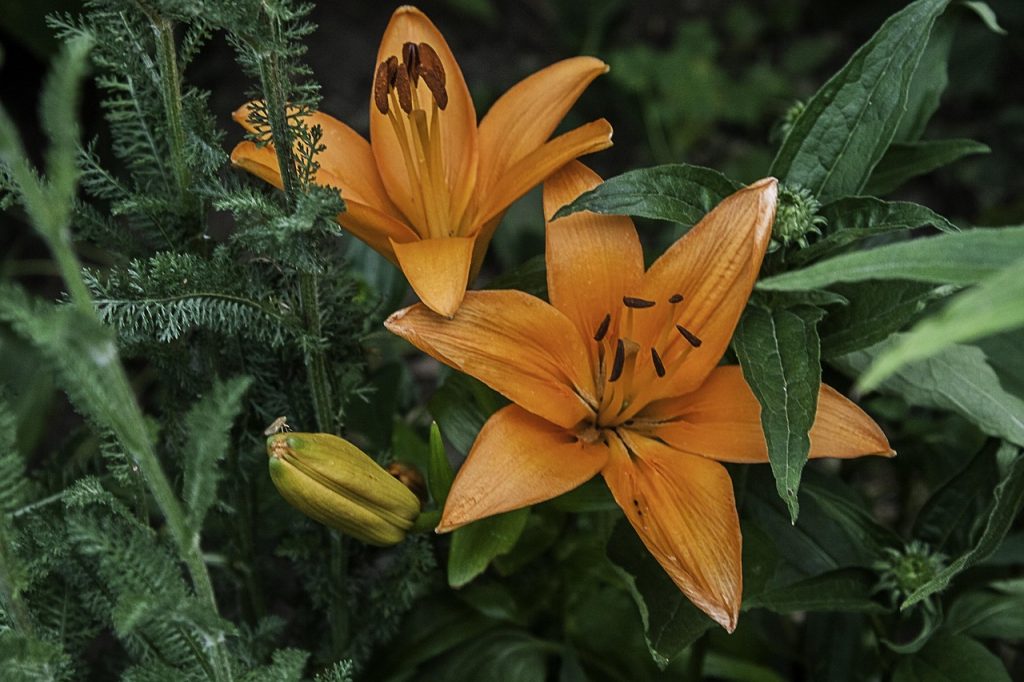 Prise de rendez vous qualifié pour agence marketing à Lille